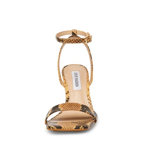 STEVEMADDEN SHOES KARRI TAN SNAKE FRONT