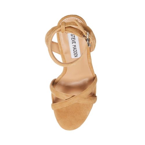 STEVEMADDEN SHOES MARCIANA CAMEL SUEDE TOP