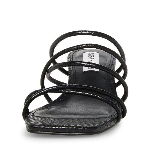 STEVEMADDEN SHOES PAIGE BLACK SNAKE FRONT