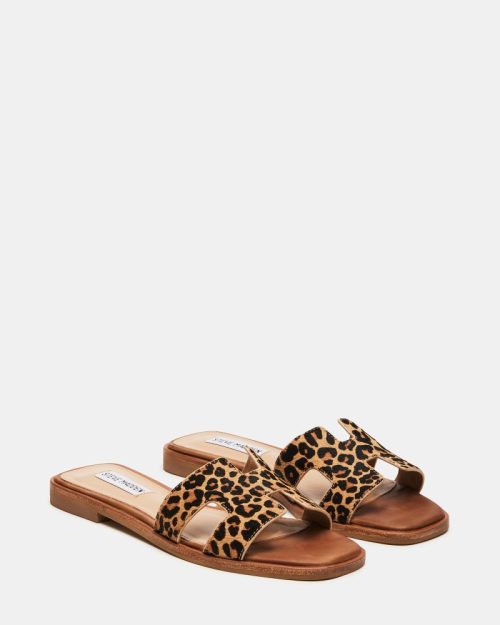 STEVEMADDEN SHOES HADYN L LEOPARD 01