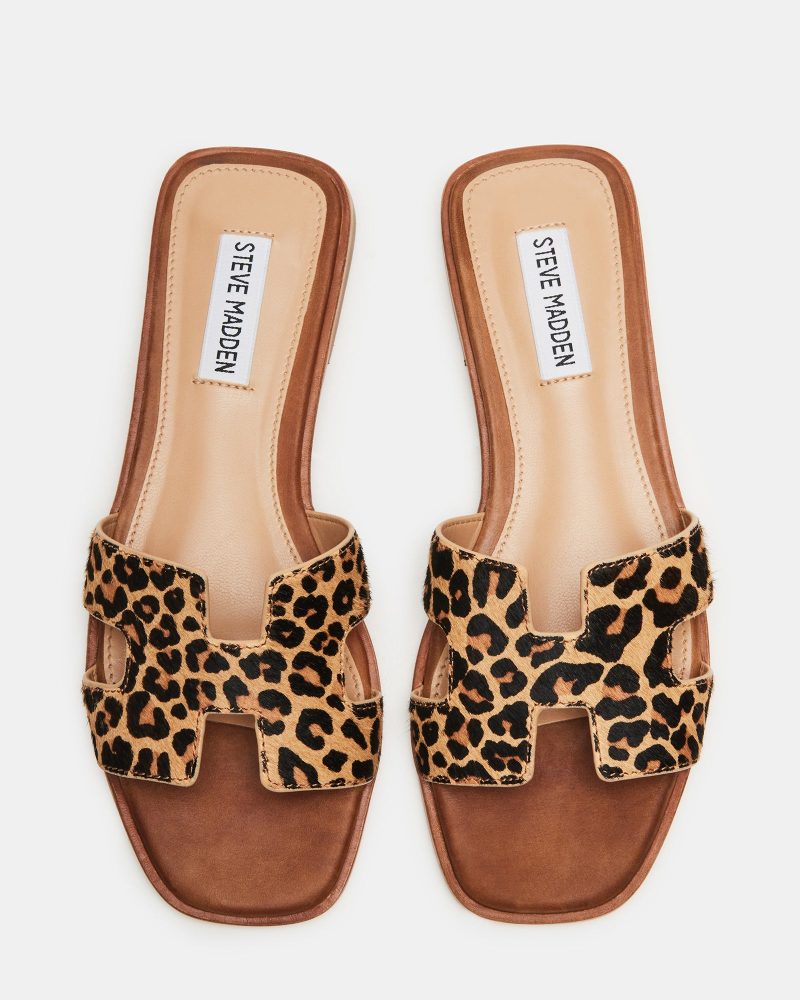 STEVEMADDEN SHOES HADYN L LEOPARD 03