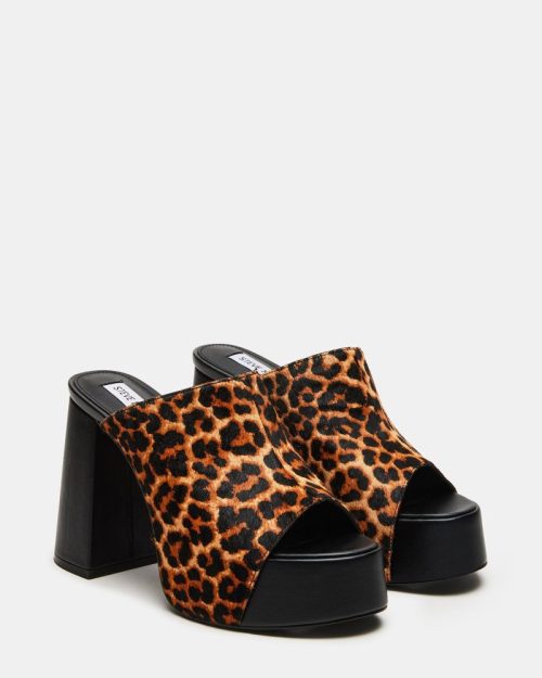 STEVEMADDEN SHOES TAYA LEOPARD 01