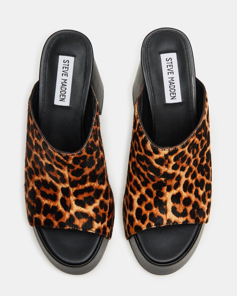 STEVEMADDEN SHOES TAYA LEOPARD 03