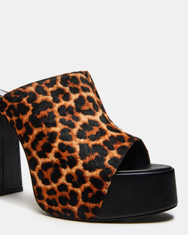 STEVEMADDEN SHOES TAYA LEOPARD 04